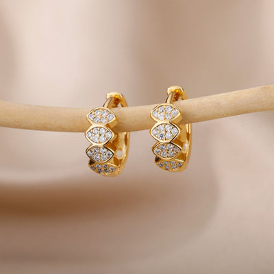 Classy Zirconia Earrings